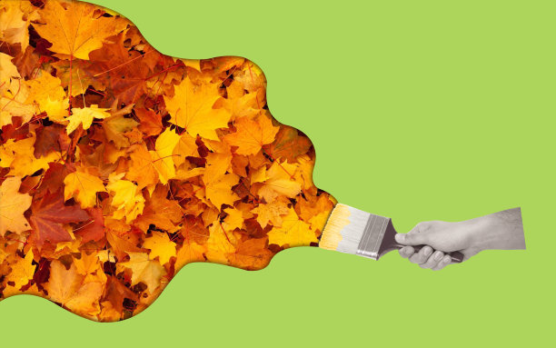 当代艺术拼贴画，手握画笔与秋叶。图片下载