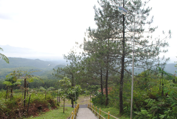 登上嘎龙宫山顶，阳光明媚图片下载