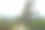 登上嘎龙宫山顶，阳光明媚图片下载