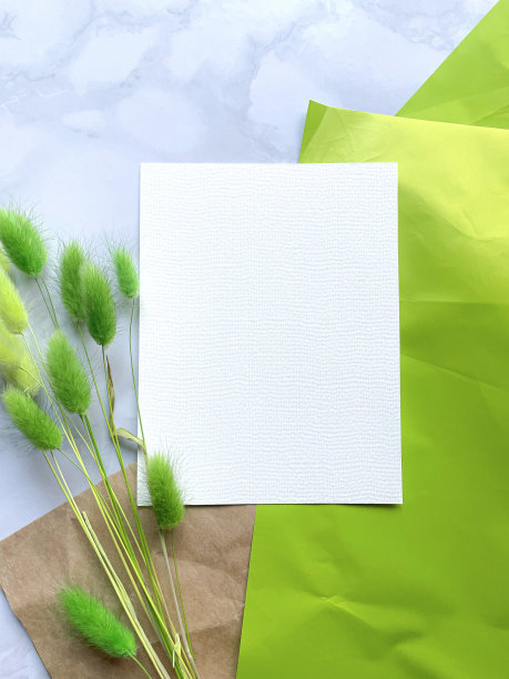 水彩纸单模型与绿色小穗在大理石背景图片下载