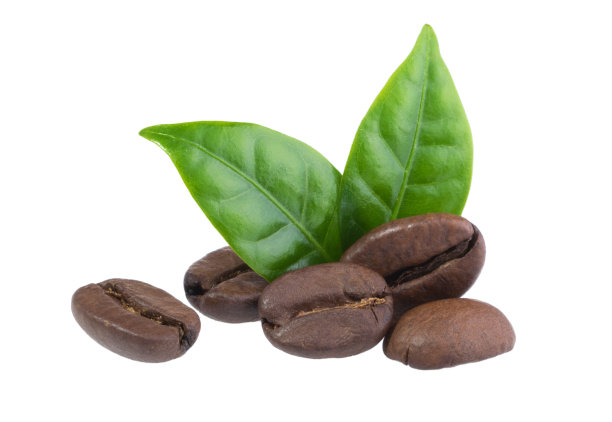 咖啡粒，叶子孤立在白色背景上，没有阴影剪辑路径图片下载
