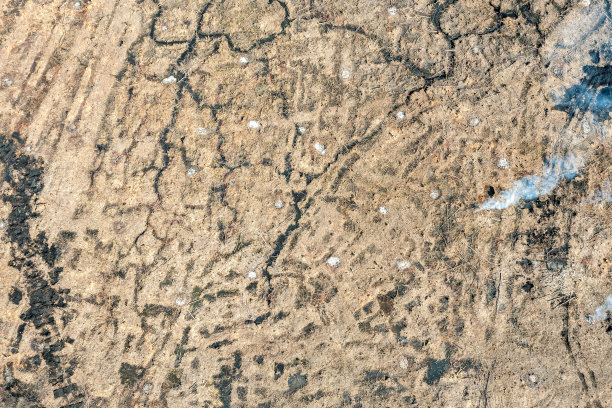 湿地的背景。清洁土地及填海工程。鸟瞰图。图片下载