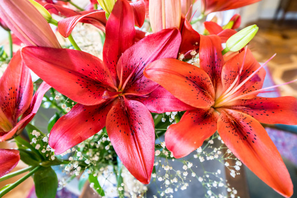 春暖花开图片下载