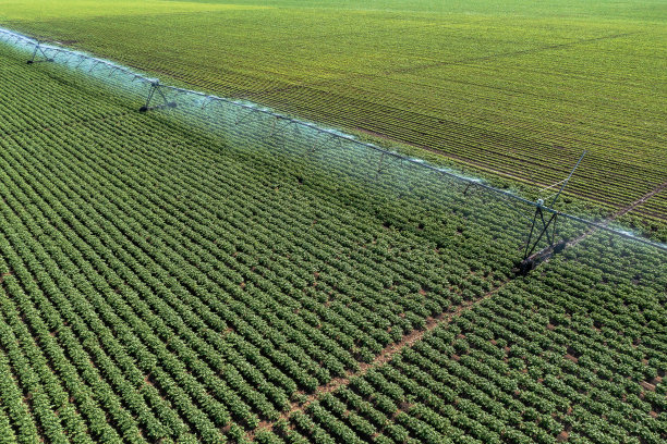 从无人机视角鸟瞰马铃薯种植农田灌溉喷头图片下载
