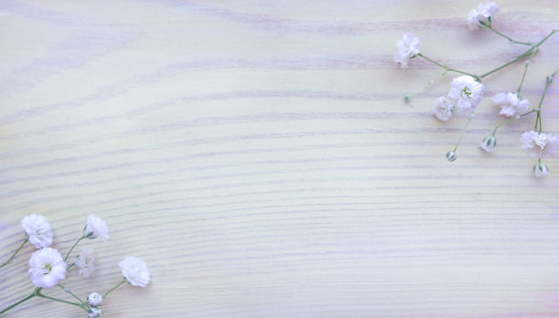 浅色木质背景与白色花朵图片下载