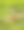 在印度亚洲北方邦的皮利比特国家公园森林老虎保护区，一种难以捉摸和脆弱的动物物种，在恐惧中奔跑和跳跃图片下载