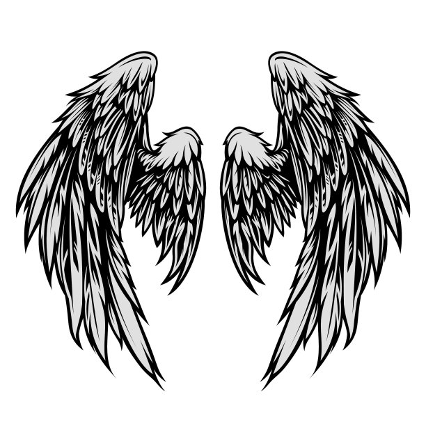 手绘的翅膀矢量插图在纹身风格图片下载