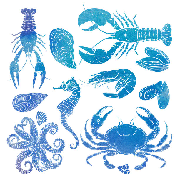 海洋生物。手绘水彩插图，孤立的元素在白色背景。完美的菜单装饰，邀请，卡片和作为设计元素。图片下载