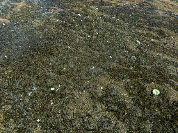 垃圾在水中，污染，和环境的概念。图片下载