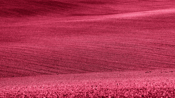 神秘的宇宙景观，虚拟现实。复制空间背景。图片下载