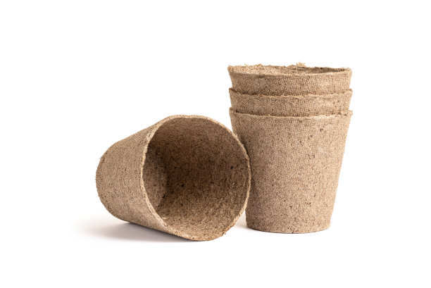 白色背景上孤立的泥炭罐图片下载