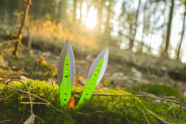 投掷运动。绿色和黑色金属飞刀设置在绿色苔藓在阳光明媚的松林背景。户外运动。运动器材。运动和爱好的概念。图片下载