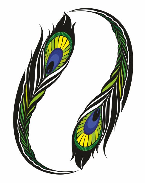 孔雀羽毛孤立矢量图标，逼真的鸟羽。孔雀的尾巴。图形元素用于设计，装饰细节图片下载