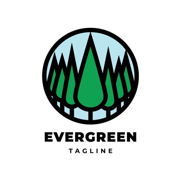 自然常青树标志图片下载