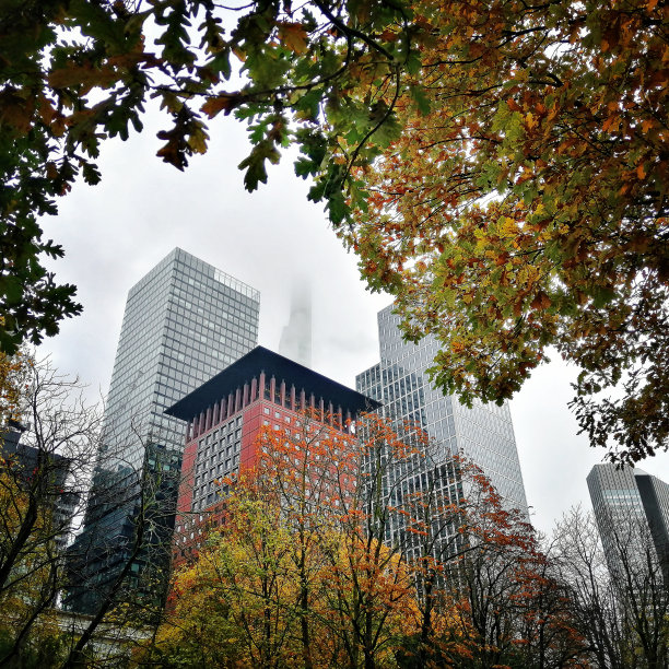 灰色秋日里法兰克福的摩天大楼图片下载