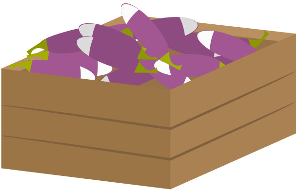 木盒茄子。秋天的收获。隔离蔬菜，白色背景容器图片下载