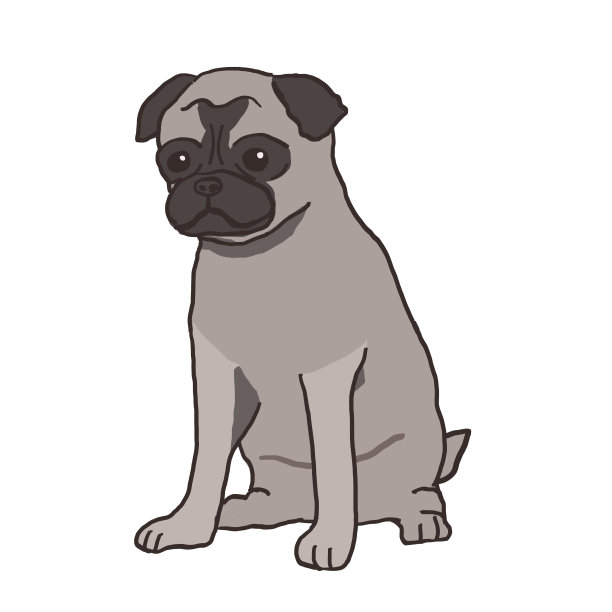 可爱的哈巴狗图片下载