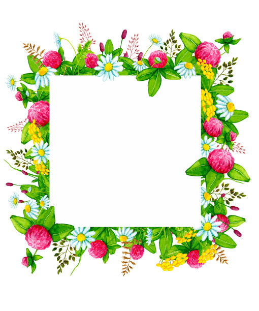 有野花和野生草药的方形框架。设计元素卡片，邀请，海报，织物印花，图案，文具，标签。图片下载