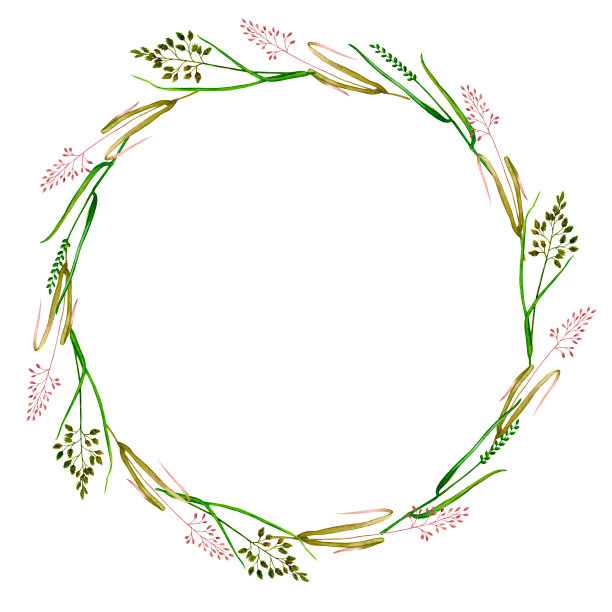 一圈野生草本植物。手绘水彩剪纸卡片，邀请，贺卡，海报，印刷，文具，标志，标签。婚礼设计、生日、纪念日等。图片下载