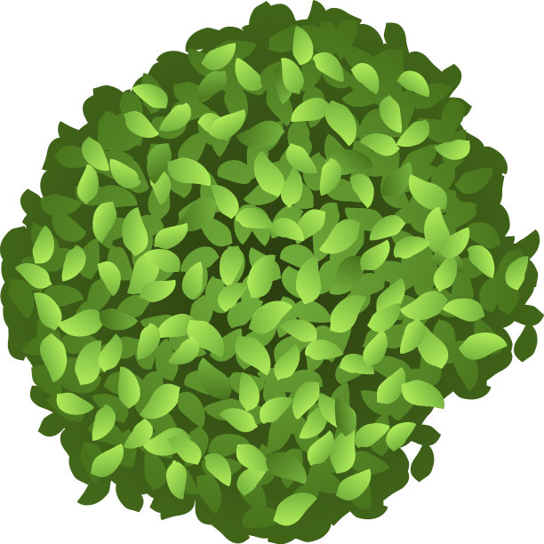 灌木景观元素绿色植物俯视图图片下载
