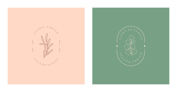 矢量花的有机象征。自然的标志设计与线性桉树树枝图片下载