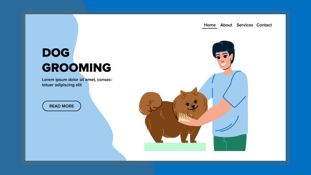 犬类梳理载体图片下载