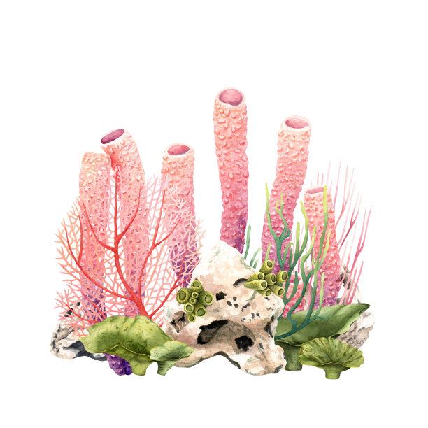 水下五彩斑斓的珊瑚礁景象。水彩插图孤立在白色图片下载