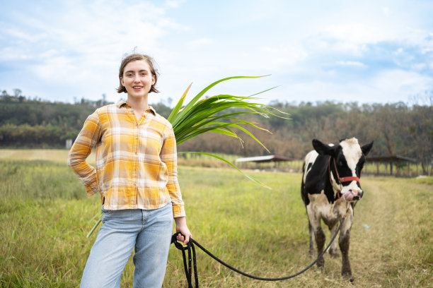 日落时分，年轻的农妇和她的奶牛走在天然草地上。小型农业综合企业的概念。图片下载