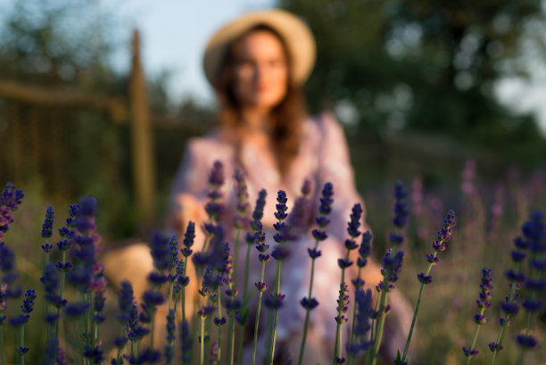 一位戴着帽子的妇女在薰衣草地里欣赏日落的照片。专注于花，迷离的女孩图片下载