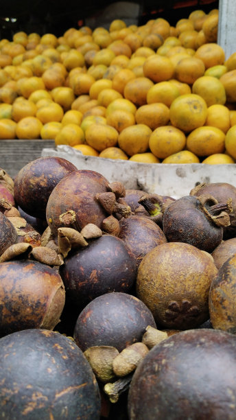 印尼当地山竹和橙子。图片下载