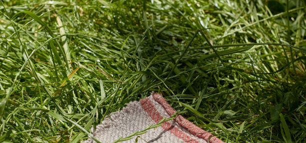 一块红、蓝、白三色的布毯子铺在绿草地上。图片下载