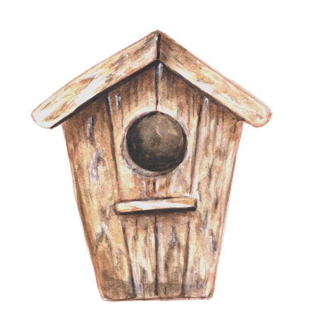 手绘鸟笼水彩插图图片下载