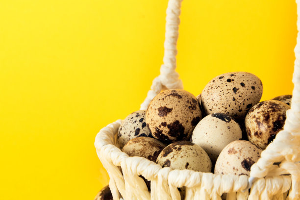 黄色背景，白色草篮，装满鹌鹑蛋。副本的空间。空白文本位置。复活节假期的模型设计。手工制作的装饰。健康食品。夏日心情色。侧视图图片下载