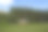 救生员木屋在山上的绿色草地在夏天图片下载