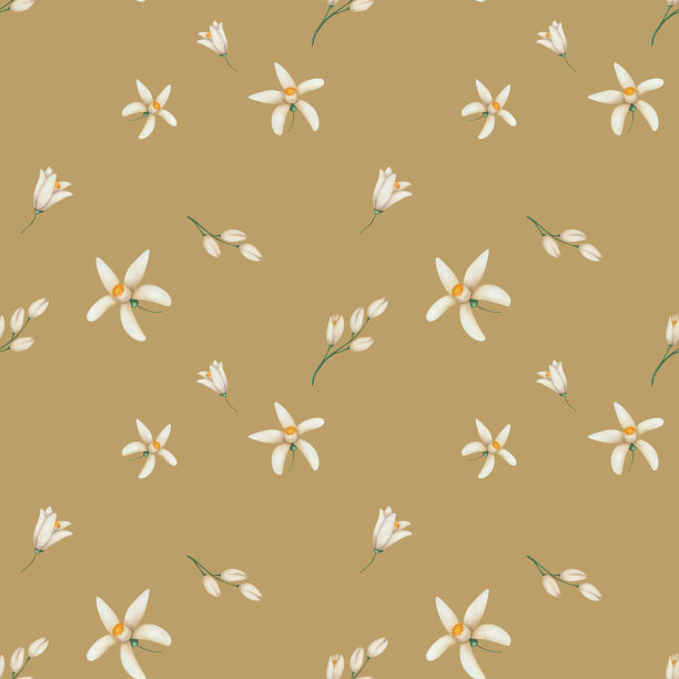 水彩无缝图案。手绘的米色花朵的插图，花有五个花瓣和花蕾。热带柑橘花。花卉图案。印刷在棕色背景的纺织品，包装图片下载