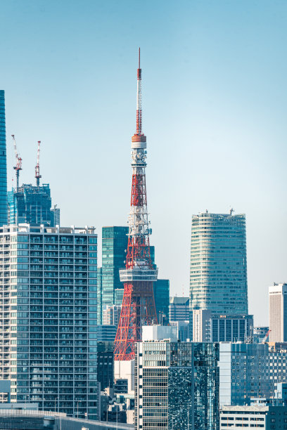 东京湾的城市天际线，东京塔在台场，日本图片下载