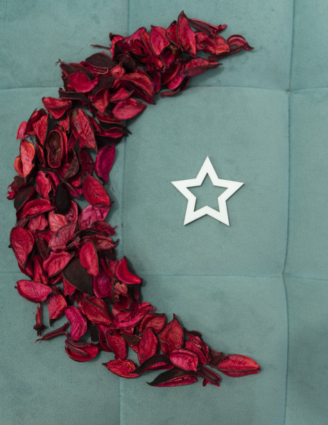 红玫瑰花瓣呈月牙状，白色星形图片下载