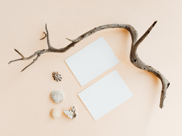 空白白卡，干早午餐和贝壳在米色背景图片下载