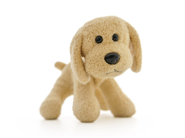 小毛绒狗图片下载