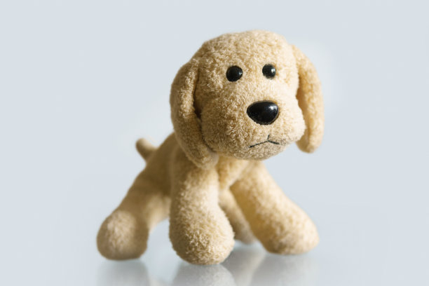 小毛绒狗图片下载