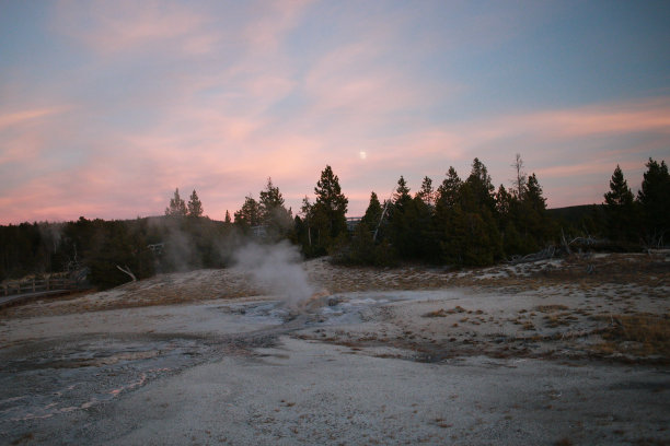 间歇泉从美国怀俄明州黄石国家公园的间歇泉盆地喷出热水和蒸汽图片下载
