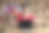 快乐年轻的亚洲女学生与许多国际国旗显示手指在笔记本电脑空屏幕图片下载