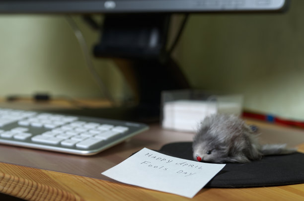 电脑鼠标被毛绒玩具鼠标取代了。愚人节笑话图片下载