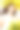 美丽温柔的年轻女子黑发花束和含羞草花环图片下载