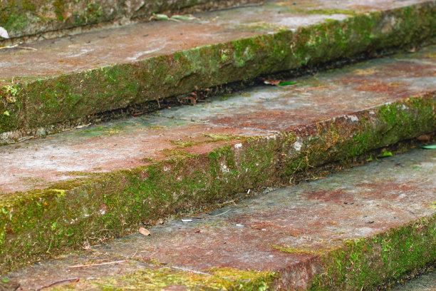 在一个自然公园里，苔藓覆盖着由精确切割的石头制成的古老的石头楼梯。图片下载