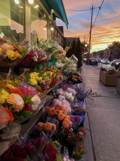 日落花店图片下载