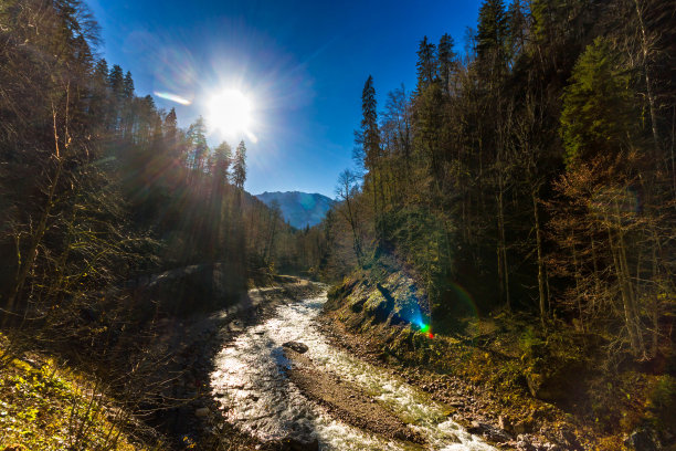 假期在德国观赏伊萨尔河自然美景图片下载