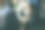 从事可持续创新项目的混血商业人士 - 坐在轮椅上的亚洲女性脸部柔焦图片下载