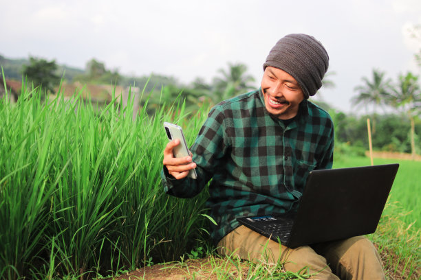印尼年轻人在稻田中间远程工作。图片下载
