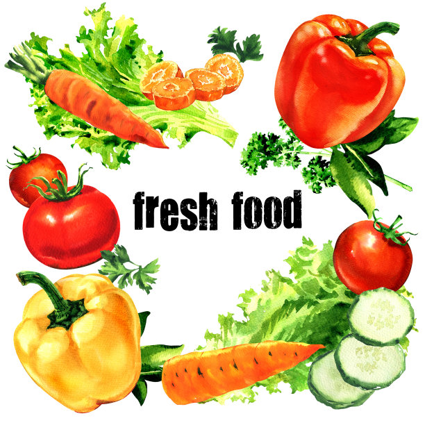 集有机新鲜蔬菜，生态食品，框架与文字，复制空间，创意布局，健康的生活方式，素食概念，孤立，手绘水彩插图图片下载